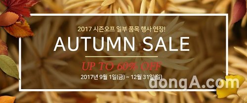 사진제공=코베아