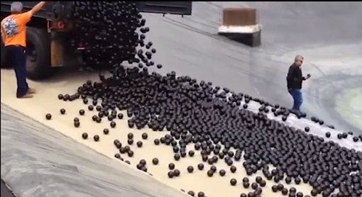 미국 로스엔젤레스 수자원부 직원들이 저수지에 검은 프라스틱 공을 쏟아붓고 있다. 사진출처｜청남동 유튜브 화면 캡처