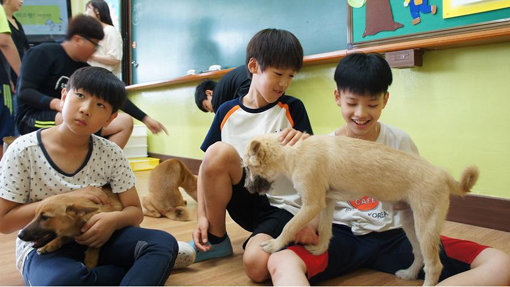 강아지를 돌보는 ‘학교멍멍’ 프로그램에 참가한 학생들이 교실에서 동물과 교감하는 활동을 하고 있다. 사진제공｜농촌진흥청