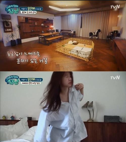 사진=개냥 캡처