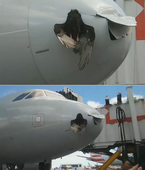 사진=로컬10뉴스 방송화면 캡처