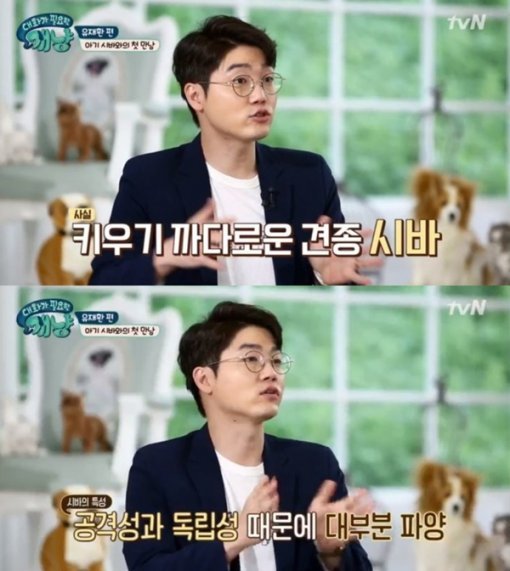 사진=tvN 예능프로그램 ‘대화가 필요한 개냥’