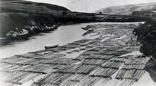1930년대 뗏목 형태로 압록강을 흘러 내려가는 목재들. 한국민족문화대백과 자료