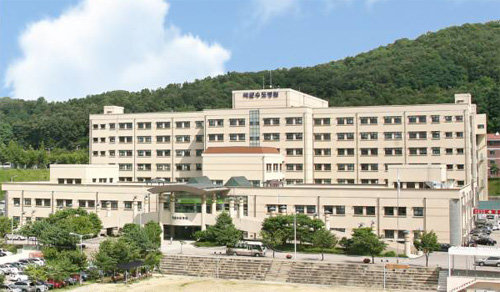 의료 인력의 체질 개선을 해야 군병원에 대한 신뢰를 얻을 수 있다. 사진은 군병원 가운데 최고인 경기 성남시 분당구의 국군수도병원. 출처 한국학중앙연구원