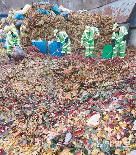 낙엽이 우수수… 떨어지면 쓰레기? 재활용하면 돈 된다