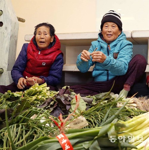 24일 마포구 서교동의 한 식당에서 청춘살롱 어르신들이 김장 재료를 손질하고 있다. 홍진환 기자 jean@donga.com