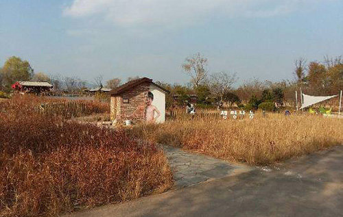 질병관리본부가 전남 순천시 순천만국가정원에 마련한 ‘생명나눔 주제정원’의 전경. 질병관리본부 제공