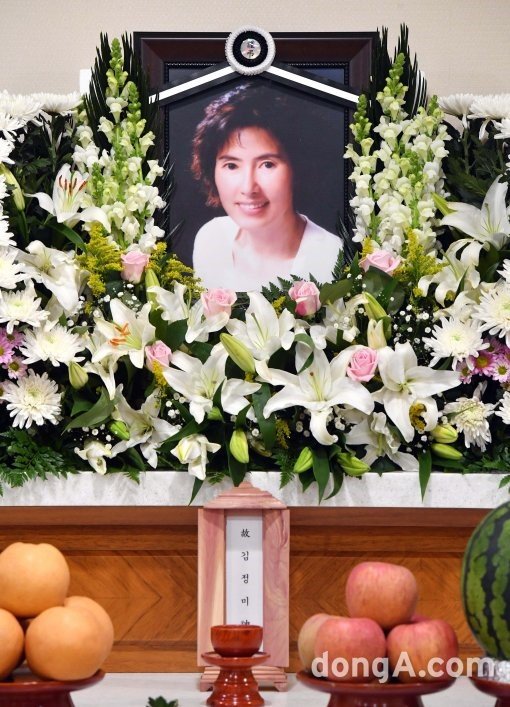 사진=사진공동취재단