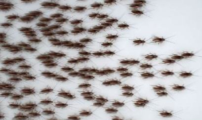 해당 기사와 관련 없는 사진