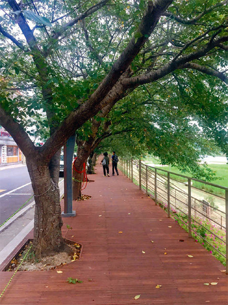 울산 중구 십리대숲 먹거리단지 도로변에 최근 완공된 목제 덱(산책로). 상인들의 건의를 지방의원과 자치단체가 적극적인 의지를 갖고 민원을 해결한 사업으로 평가받고 있다. 울산 중구 제공