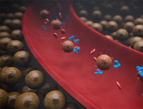 혈관 안을 떠다니는 면역세포(T세포, 크고 둥근 세포)와 면역관문억제제(면역세포 옆 작은 물질)를 묘사한 그림. 면역관문억제제는 면역세포를 억제하는 암세포의 기능을 무력화시켜 면역세포를 돕는다.