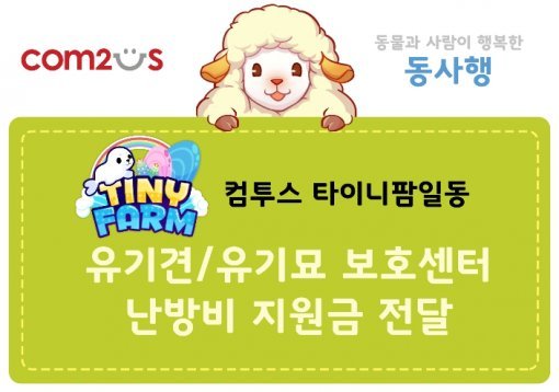 컴투스 유기견 봉사활동(출처=게임동아)