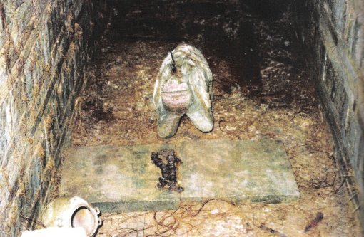 무덤을 연 직후 촬영한 진묘수와 지석.