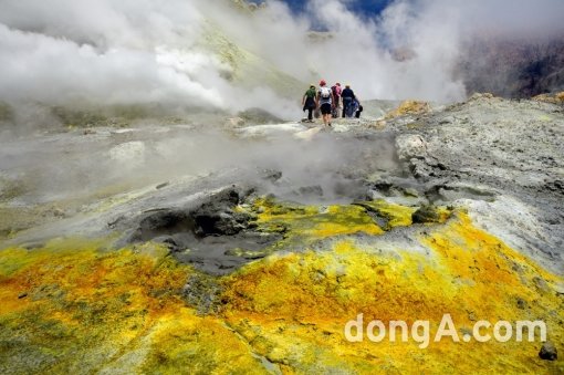 ▲ 화이트섬의 전경. 사진제공= White Island Tours.