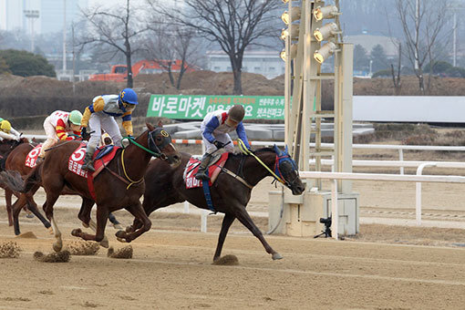 사진제공 l 한국마사회