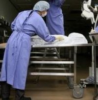 사진은 기사와 무관함 (동아일보DB)