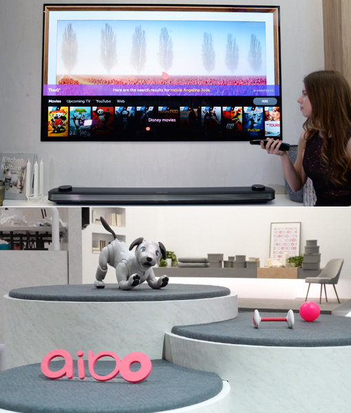 LG전자의 인공지능 올레드 TV ‘씽큐’(위쪽)-소니의 엔터테인먼트 로봇 ‘아이보’.