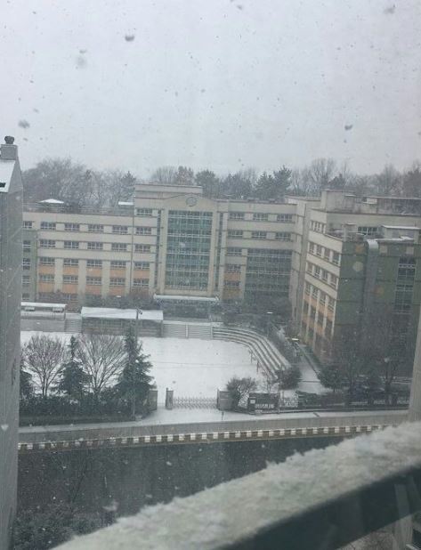 사진=아이디 jenn**** 소셜미디어