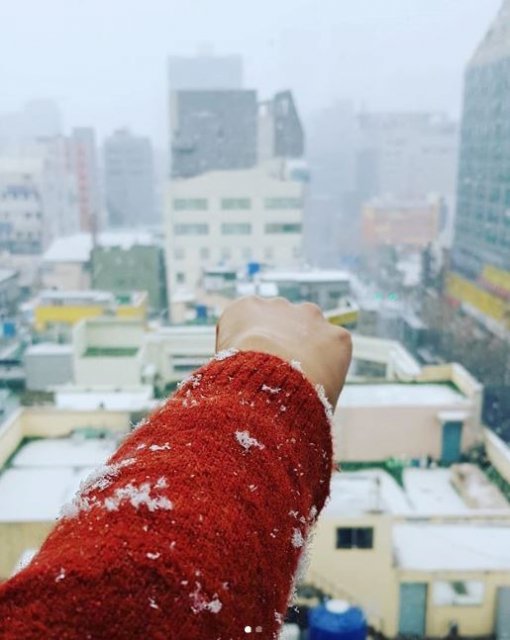 사진=아이디 gorg**** 소셜미디어