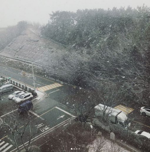 사진=아이디 jina**** 소셜미디어