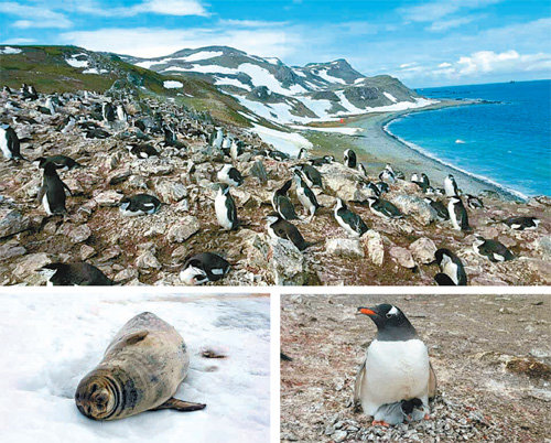 설립 30년을 맞은 남극 세종과학기지는 남극의 생태계부터 기후변화까지 다양한 연구를 수행하고 있다. 이우신 교수 제공
