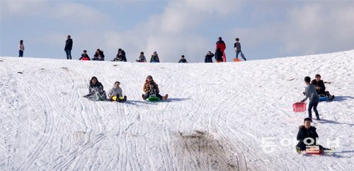 제주지역에 폭설이 내린 이후 제주시 해안동 어승생 삼거리 인근 목장이 거대한 천연 눈썰매장으로 변하자 어린이들이 눈썰매를 타면서 눈꽃 세상을 즐겼다. 임재영 기자 jy788@donga.com