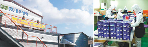 경기 가평에 위치한 ㈜경주생약 본사(왼쪽 사진)와 클린 에어시스템 생산 현장.