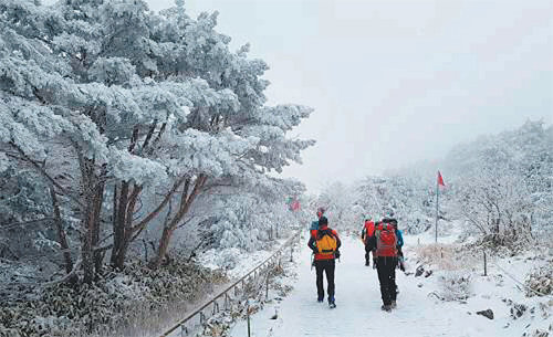 겨울 산행의 묘미를 제대로 느끼고 안전사고를 예방하기 위해서는 사전에 일기예보를 숙지하는 것은 물론이고 등산장비를 완벽하게 갖추는 게 필요하다. 전영한 기자 scoopjyh@donga.com