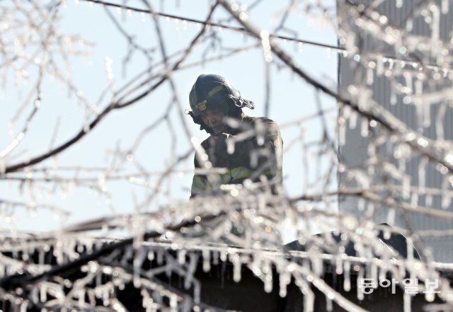 고지대 상고대를 연상 시킬 정도로 혹한의 날씨에 소방용수로 만들어진 나뭇가지의 고드름 사이로 소방대원이 지나가고 있다. 최혁중 기자 sajinman@donga.com