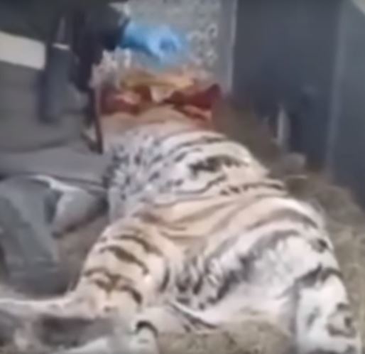 사진=유튜브 영상