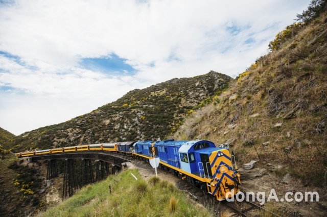 ▲ 타이에리 협곡 열차. 사진 제공=Tourism Dunedin