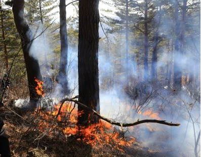 해당 사진은 기사와 관련없음(동아일보DB)