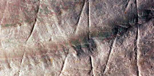 인도네시아 자바섬에서 발견된 43만∼54만 년 전 홍합 화석의 표면에 새겨진 ‘M’자 무늬. 호모에렉투스가 새긴 것으로 추정된다. 사이언스·네이처·PNAS 제공