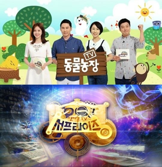 사진= SBS ‘TV 동물농장’/MBC ‘신비한TV 서프라이즈’