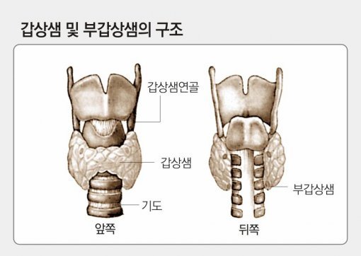 사진=동아일보DB