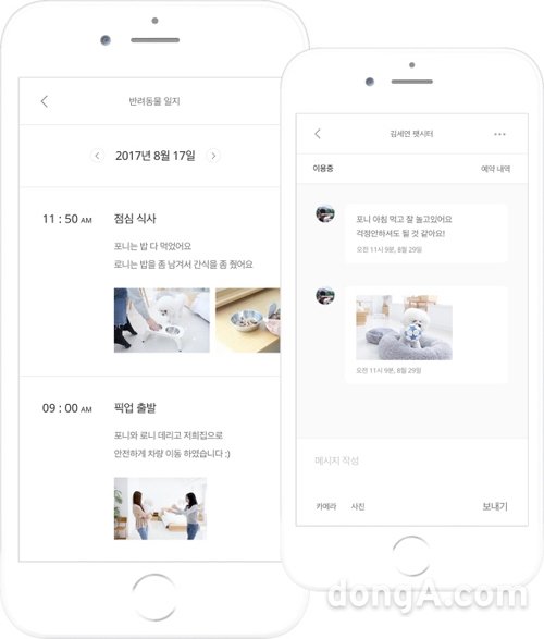 실시간으로 확인하는 펫시팅 일지. 사진=펫플래닛 앱