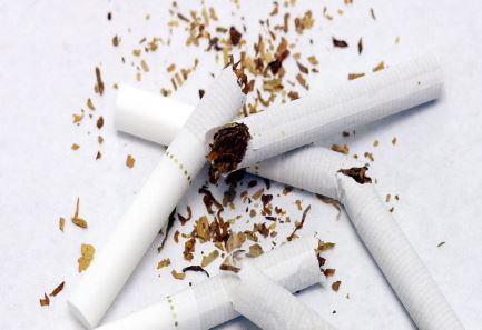 사진=담배(동아일보DB)