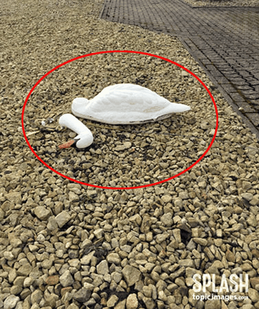 사진 제공 -TOPIC / Splash News