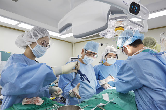 장항석 서울 강남세브란스병원 교수(왼쪽에서 두 번째)가 난치성 갑상샘암 환자를 전통적 절개 방식으로 수술하는 도중 수술 도구를 넘겨받고 있다. 강남세브란스병원 제공