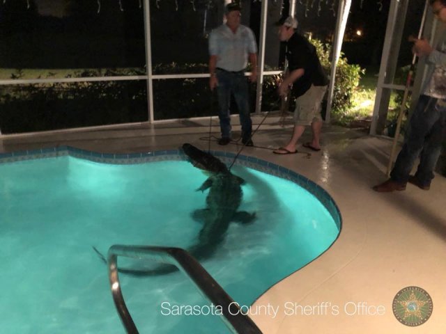 사진=Sarasota County (FL) Sheriff‘s Office 페이스북