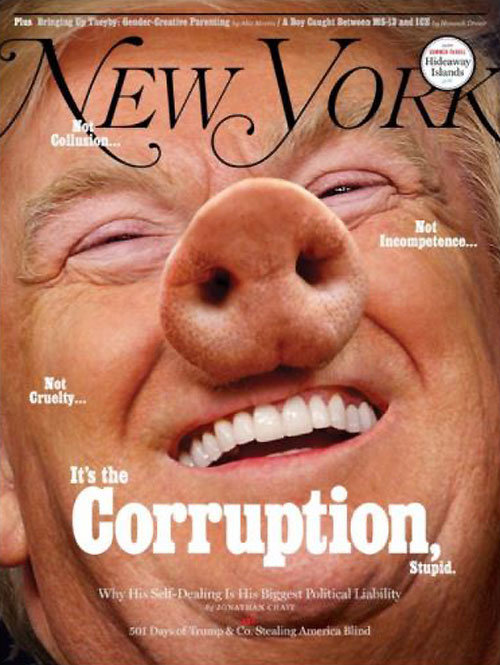 뉴욕매거진 “트럼프는 부패한 돼지” 2일 발간된 미국의 진보성향 격주간지 뉴욕매거진이 도널드 트럼프 
미국 대통령의 얼굴에 돼지코를 합성한 사진을 표지에 실었다. ‘이것은 부패’란 제목을 달고 “트럼프 대통령이 취임 이후 사익을 
추구해왔다”고 비판했다. 사진 출처 뉴욕매거진