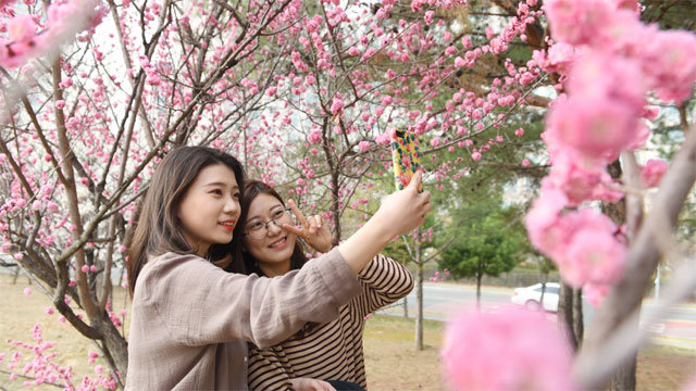 2일 대구 동구 율하체육공원에서 봄 나들이를 나온 시민들이 분홍 겹벚꽃을 배경으로 사진을 찍고 있다. 대구 동구 제공
