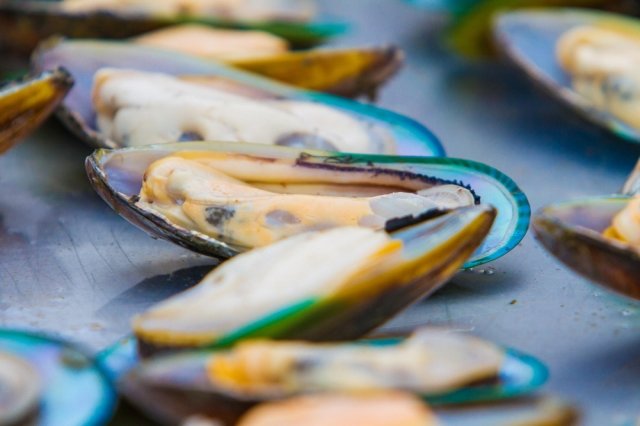 ▲ 해블록의 초록입홍합. 사진제공=Havelock Mussel Festival