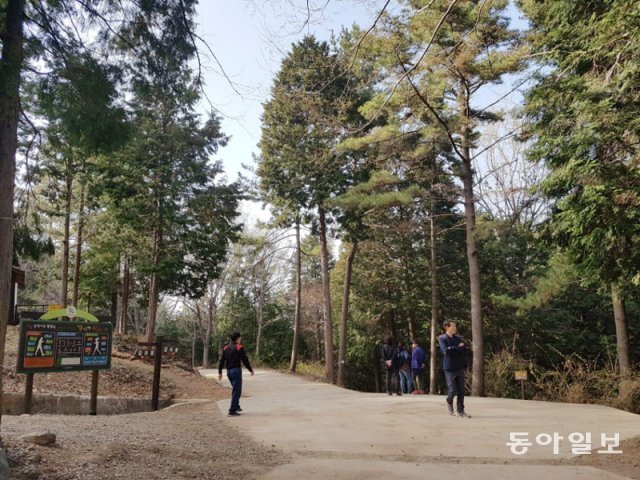 3일 오후 편백숲으로 유명한 경남 고성군 고성읍 갈모봉에서 등산객들이 삼림욕을 즐기고 있다. 강정훈 기자  manman@donga.com