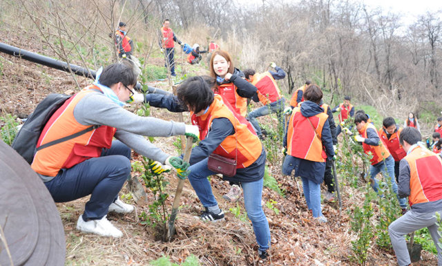 임직원들, 2000그루 나무심어 SK네트웍스 임직원 650여 명이 창립 65주년을 맞이해 6일 서울 마포구 상암동 노을공원에서 약 2000그루의 나무를 심고 있다. SK네트웍스 제공