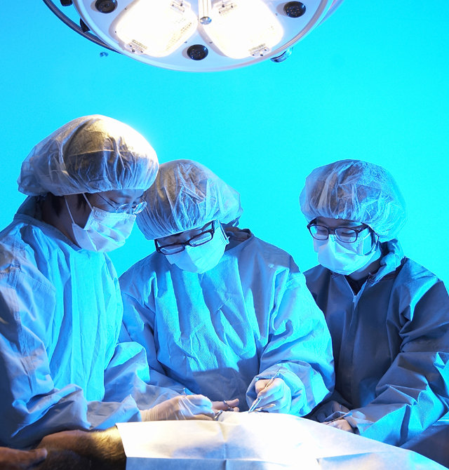 이종장기이식 실험 사진