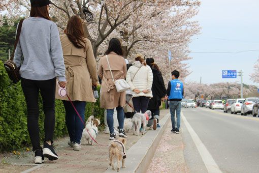 오프라인 반려동물 동반여행 인솔 모습. 사진제공｜펫츠고트래블
