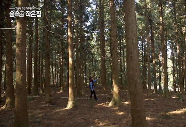 ‘다큐 같은 예능’ tvN ‘숲속의 작은 집’은 출연자들이 ‘한 번에 한 가지 일만 하기’, ‘책 읽기’ 등 느리게 혼자만의 시간을 보내는 데 초점이 맞춰져 있어 마치 사회과학 분야의 실험 기록 같다. tvN 제공