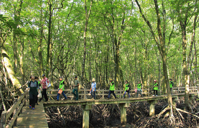 아시아산림협력기구(AFoCO)는 우리나라가 주도해 설립한 첫 산림 분야 국제기구다. AFoCO 회원국 이사들이 브루나이 맹그로브 숲을 걸으며 생태를 관찰하는 모습. AFoCO 제공