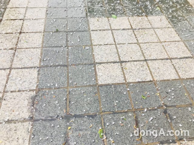 사진=동아닷컴 DB